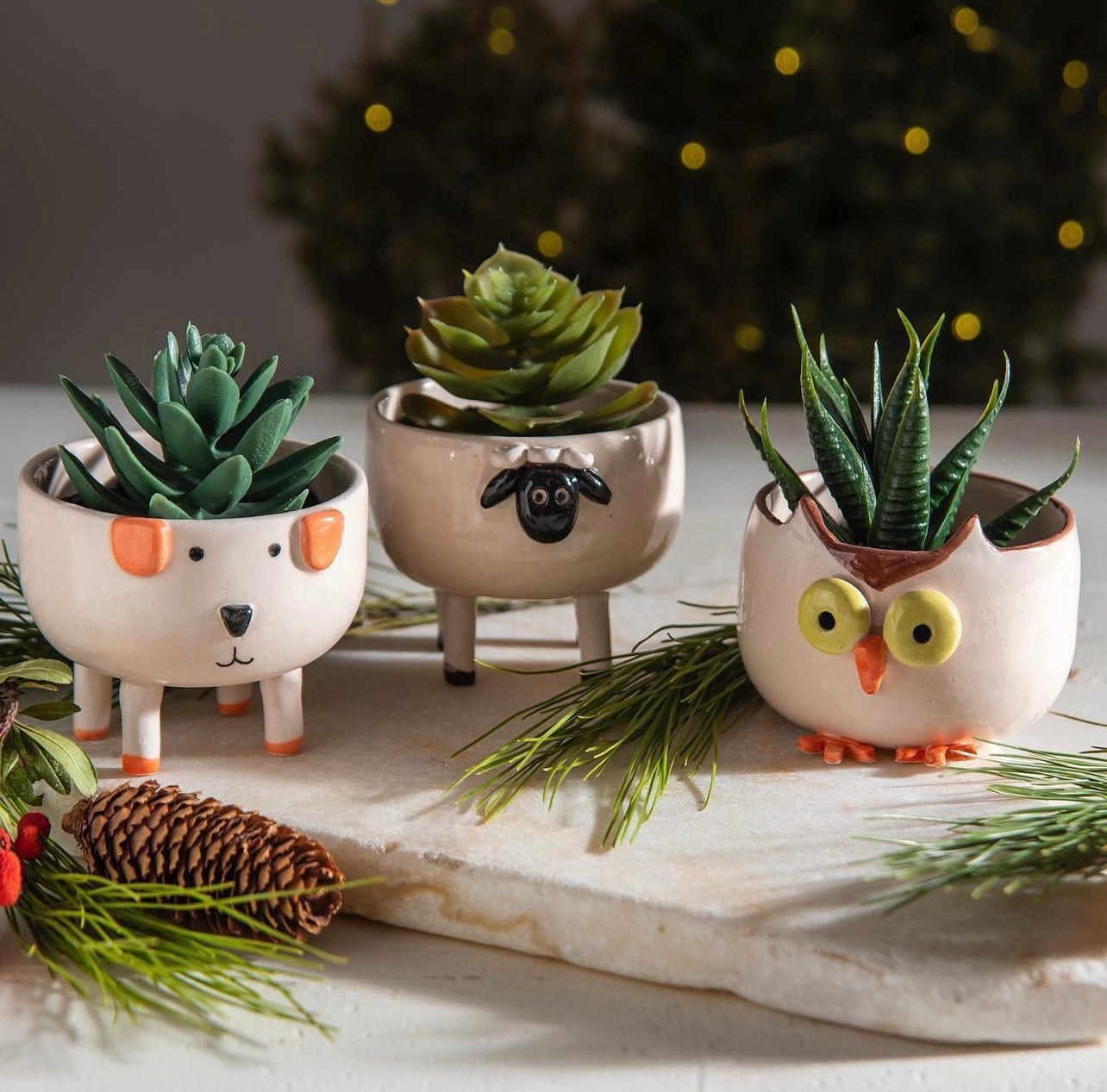 Handmade Ceramic Animal Cactus Planter – Perfect for Succulents, Minimalist Home Decor, and Unique Gift Ideas. Textured & Adorable Design