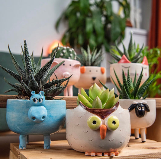 Handmade Ceramic Animal Cactus Planter – Perfect for Succulents, Minimalist Home Decor, and Unique Gift Ideas. Textured & Adorable Design