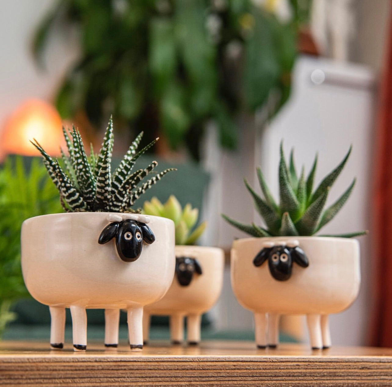 Handmade Ceramic Animal Cactus Planter – Perfect for Succulents, Minimalist Home Decor, and Unique Gift Ideas. Textured & Adorable Design