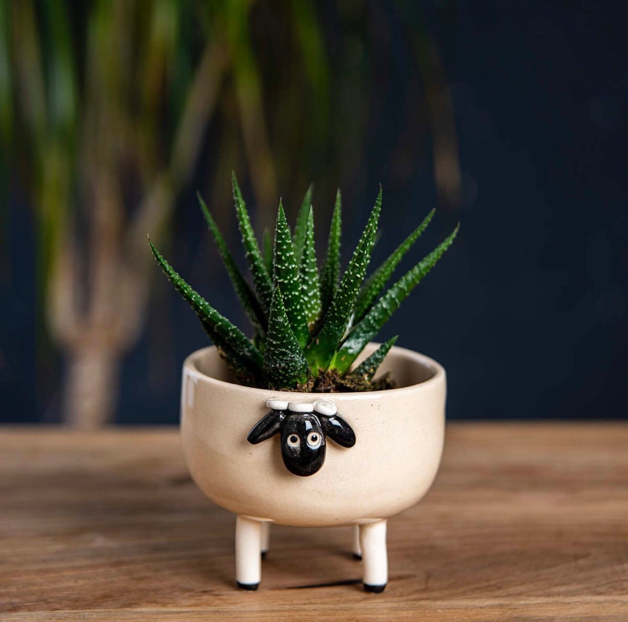 Handmade Ceramic Animal Cactus Planter – Perfect for Succulents, Minimalist Home Decor, and Unique Gift Ideas. Textured & Adorable Design