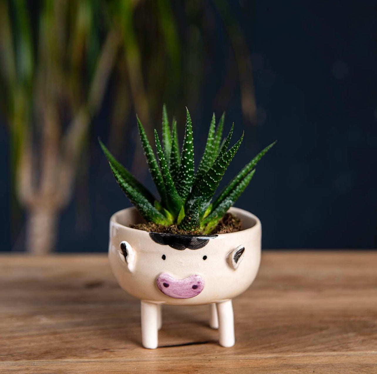 Handmade Ceramic Animal Cactus Planter – Perfect for Succulents, Minimalist Home Decor, and Unique Gift Ideas. Textured & Adorable Design