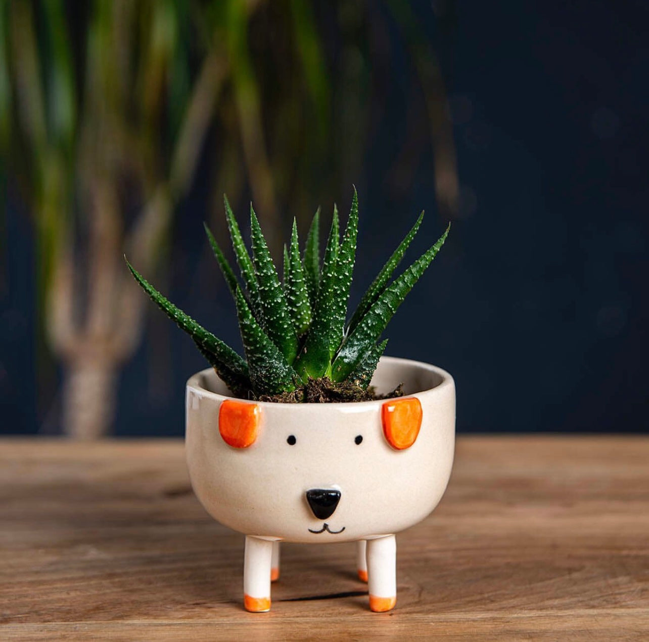 Handmade Ceramic Animal Cactus Planter – Perfect for Succulents, Minimalist Home Decor, and Unique Gift Ideas. Textured & Adorable Design