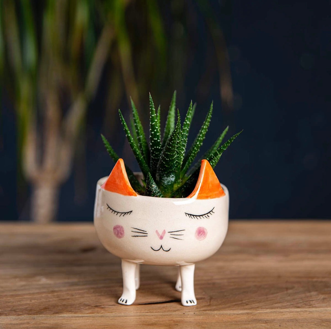 Handmade Ceramic Animal Cactus Planter – Perfect for Succulents, Minimalist Home Decor, and Unique Gift Ideas. Textured & Adorable Design