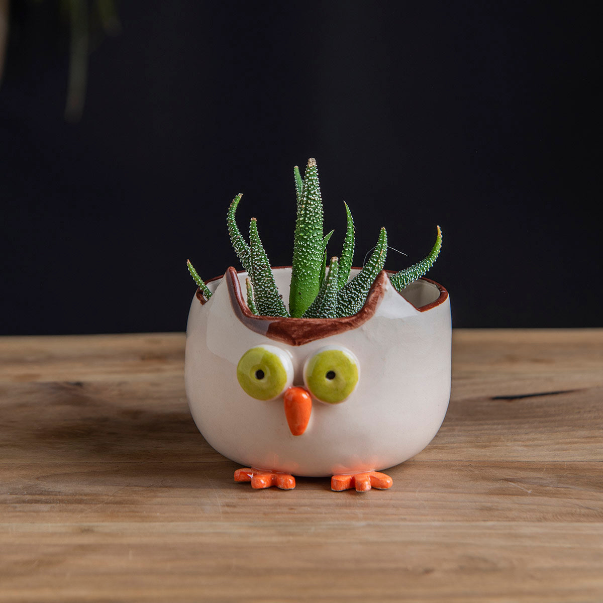 Handmade Ceramic Animal Cactus Planter – Perfect for Succulents, Minimalist Home Decor, and Unique Gift Ideas. Textured & Adorable Design