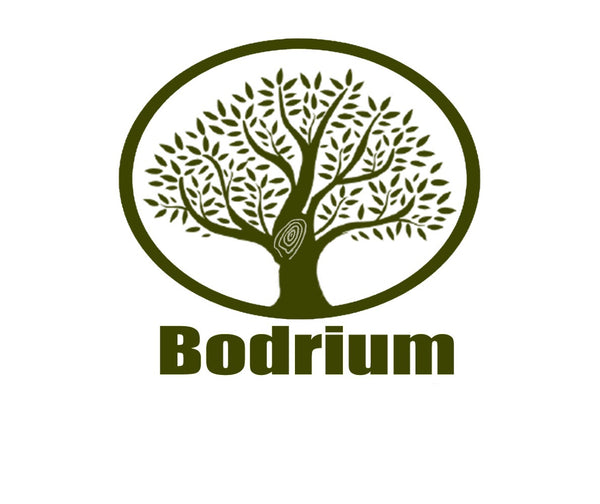 Bodrium